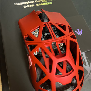 wlmouse beast x pro medium 정발