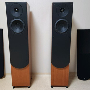 크리스 CS602RE (스캔스픽 유닛)