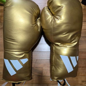 (가격내림) 아디다스 시그니쳐 빅 글러브 (ADIJBG