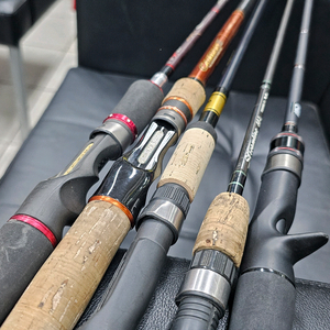 가성비 배스로드