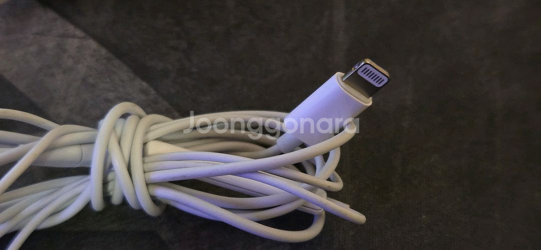 애플 유선 이어팟 라이트닝 이어폰 과 충전케이블--2