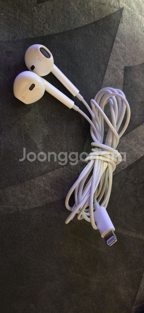 애플 유선 이어팟 라이트닝 이어폰 과 충전케이블--0