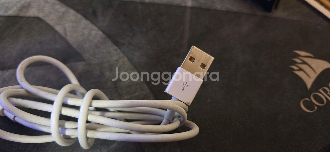 애플 유선 이어팟 라이트닝 이어폰 과 충전케이블--6