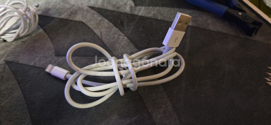 애플 유선 이어팟 라이트닝 이어폰 과 충전케이블--5