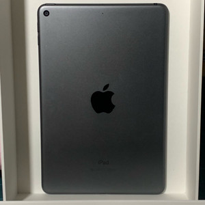 아이패드 미니 5세대 256GB wifi