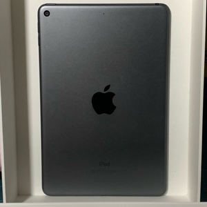 아이패드 미니 5세대 256GB wifi