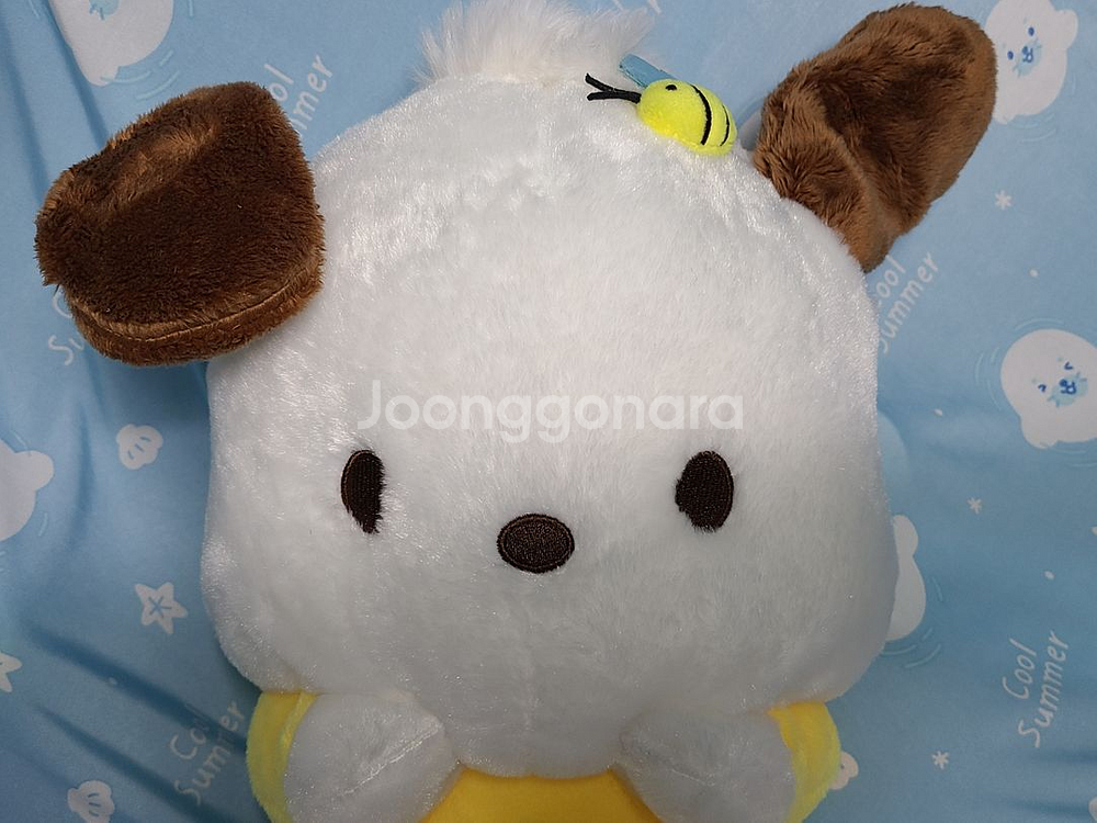 ~11/30 2천 할인 - 산리오 포차코 꿀 중대형인형--0