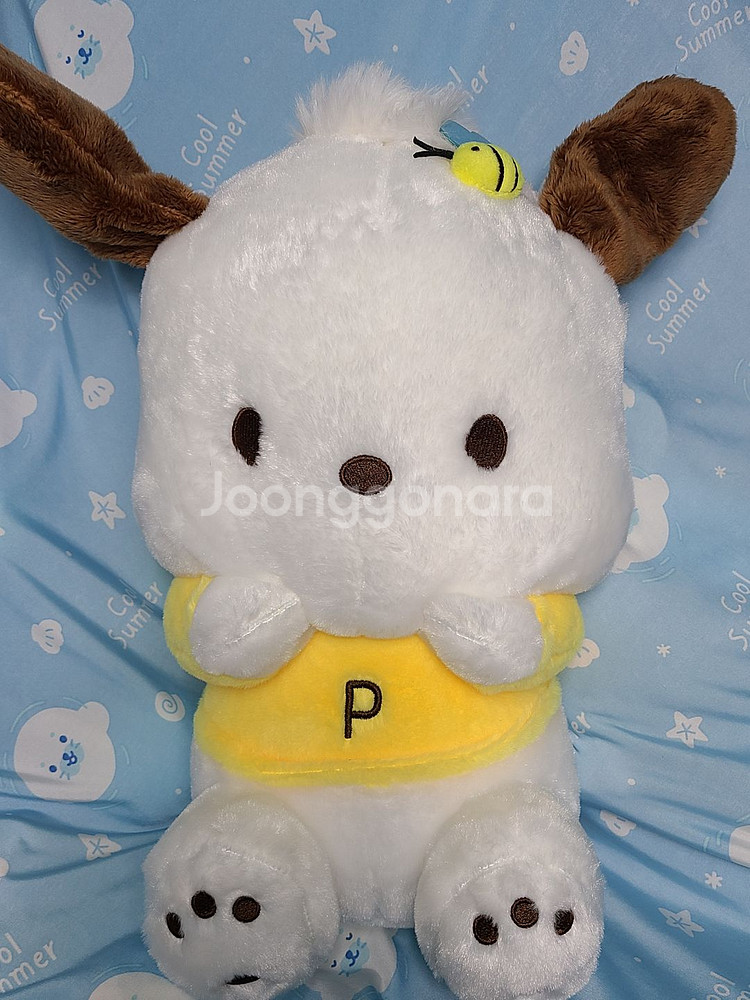 ~11/30 2천 할인 - 산리오 포차코 꿀 중대형인형--1