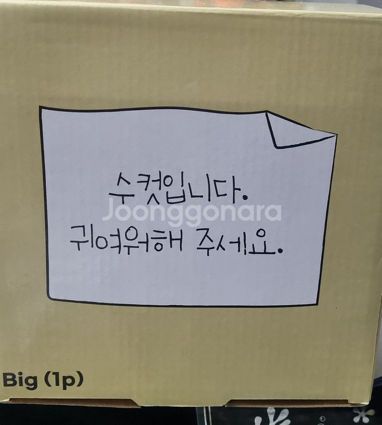 댄꼼마 짱구는 못말려 흰둥이 밥그릇판매--1