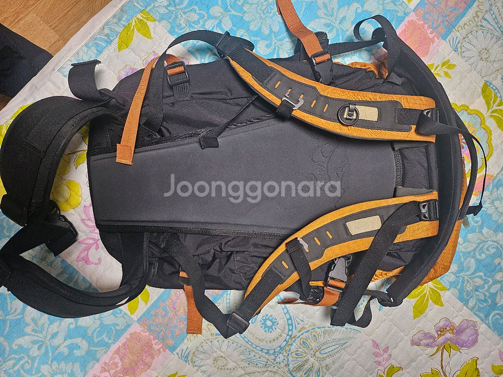 아크테릭스 배낭40 여성 용--1