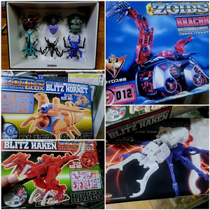 조이드 브라키오스 곤충 소형조이드