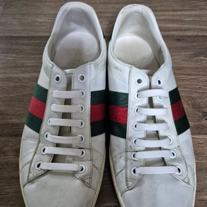 구찌 에이스 스니커즈 260