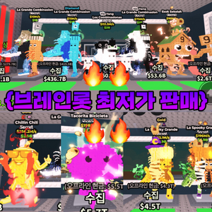 브레인롯으 훔치기 시크릿 팝니다