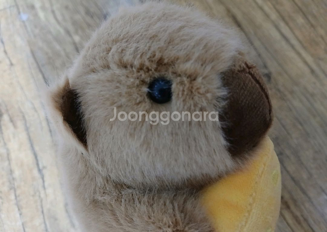 치즈 카피바라 인형 키링--1