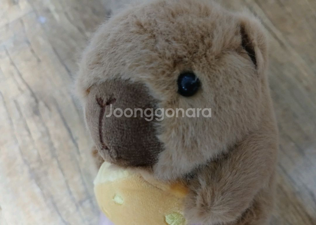 치즈 카피바라 인형 키링--0