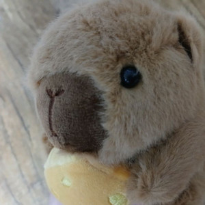 치즈 카피바라 인형 키링