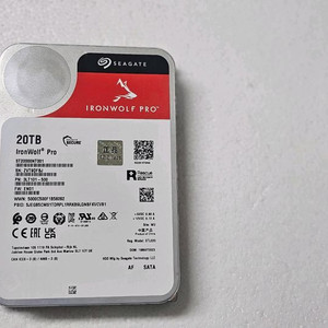Seagate 아이언울프 IronWolf 20T