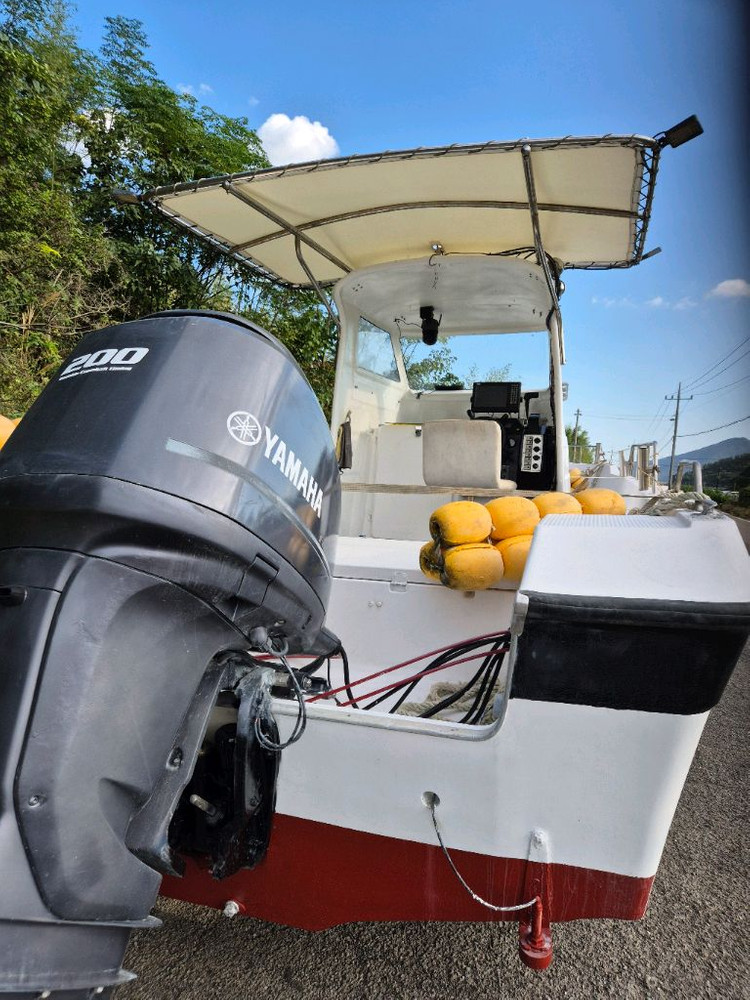 낚시보트야마하UF25선외기200마력판매합니다 이미지