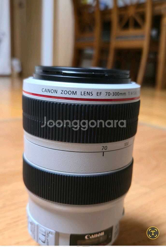 캐논EF70-300 F4-5.6L IS USM--3
