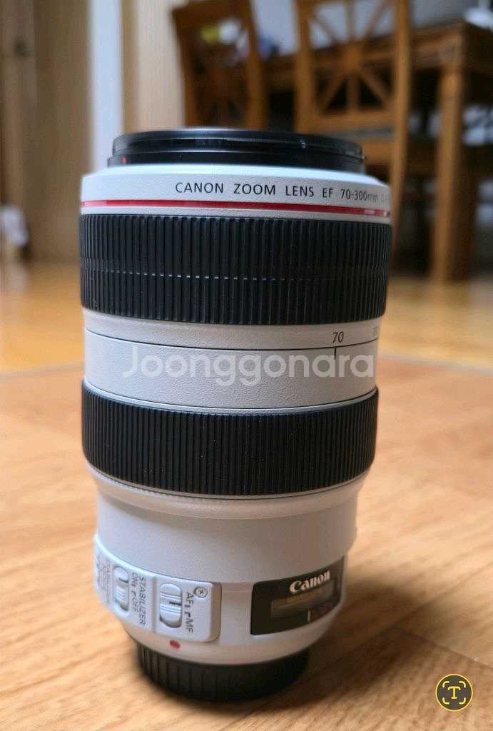캐논EF70-300 F4-5.6L IS USM--6