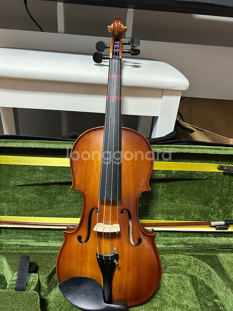 입문용 바이올린 (성인용)--0