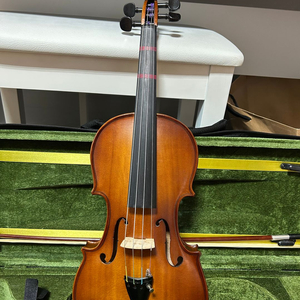 입문용 바이올린 (성인용)