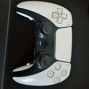 가빈이네 듀얼센스 커스텀 패드 판매합니다