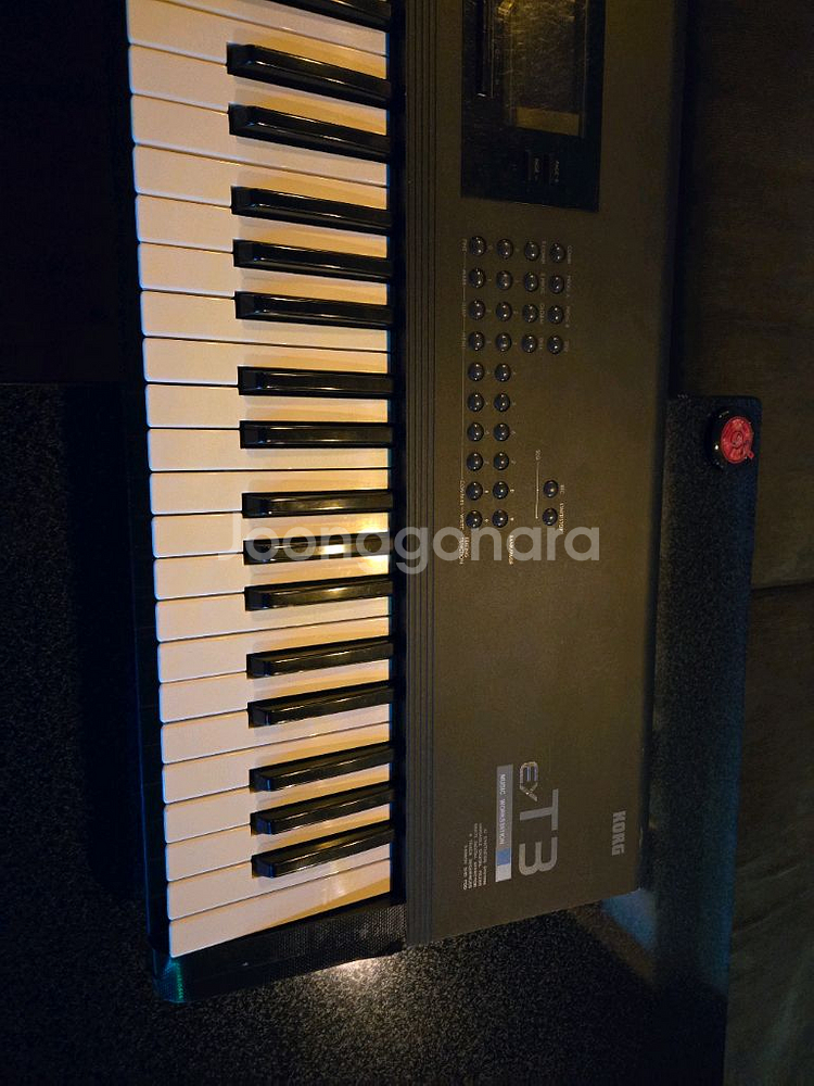 코르그T3--0