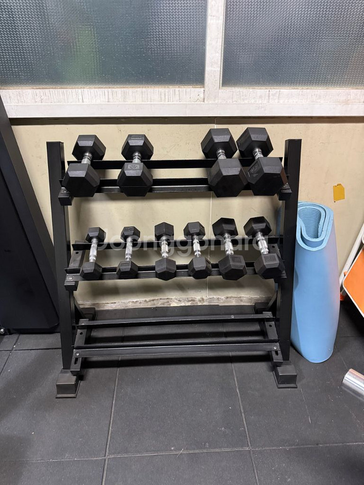 파워랙, 레그프레스 등--2