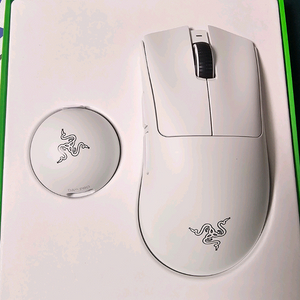 레이저 데스에더 V4 PRO