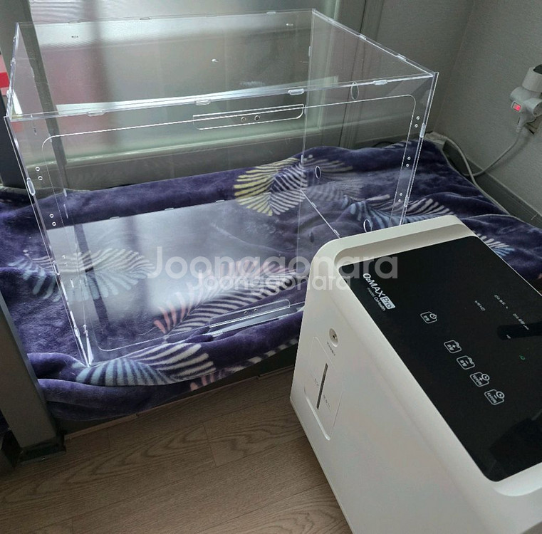오투맥스 프로 산소발생기 + 산소방(높이UP) 팝니다. 반려동물 고양이 강아지--0