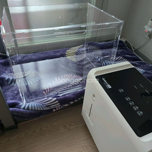 오투맥스 프로 산소발생기 + 산소방(높이UP) 팝니다. 반려동물 고양이 강아지