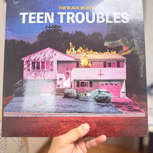 검정치마 TEEN TROUBLES LP [단순개봉]
