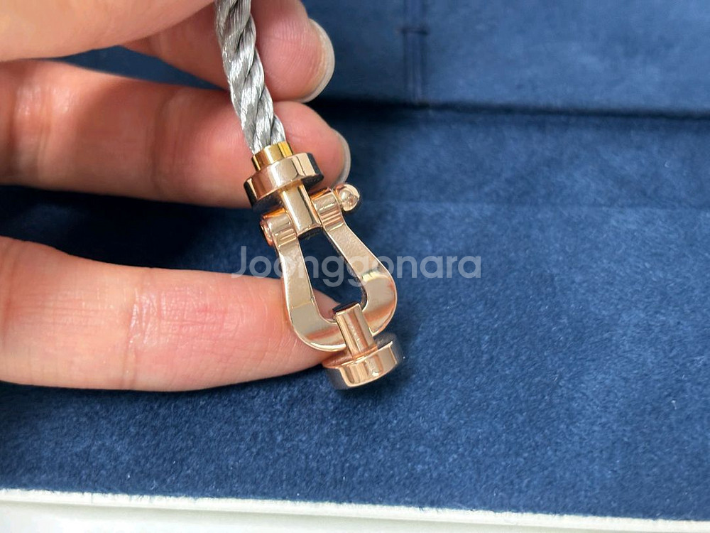 프레드 포스텐 라지 15호--3