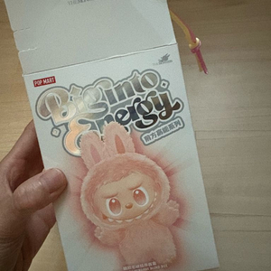 라부부 시크릿 (팝마트 구매)