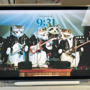 급처) 아이패드 프로 11(3세대) 256GB