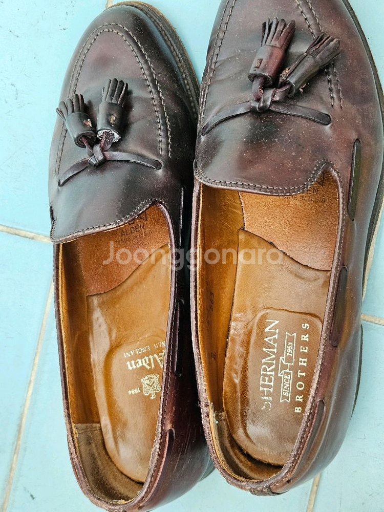 알든 코도반 테슬로퍼 563 에버딘 라스트--3