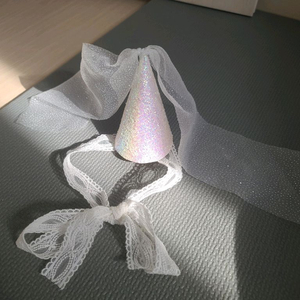 강아지 고양이 반려동물 생일파티햇 반짝이 고깔모자