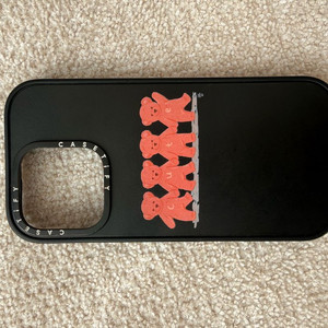 캐이스티파이 16pro