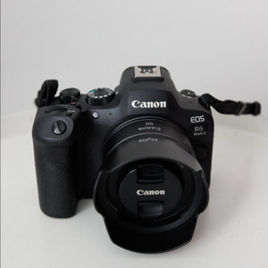 캐논 r6 mark2, 스몰리그 케이지