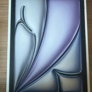 아이패드 에어 11 M3 128GB 셀룰러 스그