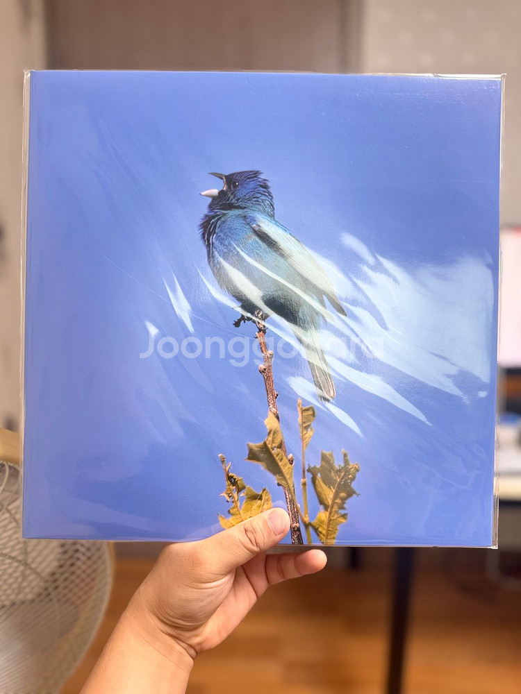 윤지영 Blue bird LP [미개봉]--0