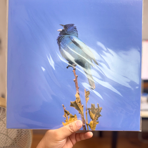 윤지영 Blue bird LP [미개봉]