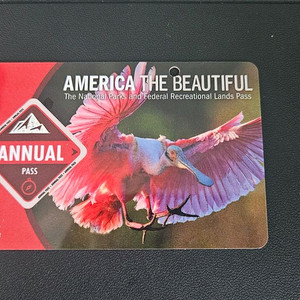 애뉴얼 패스(annual pass)
