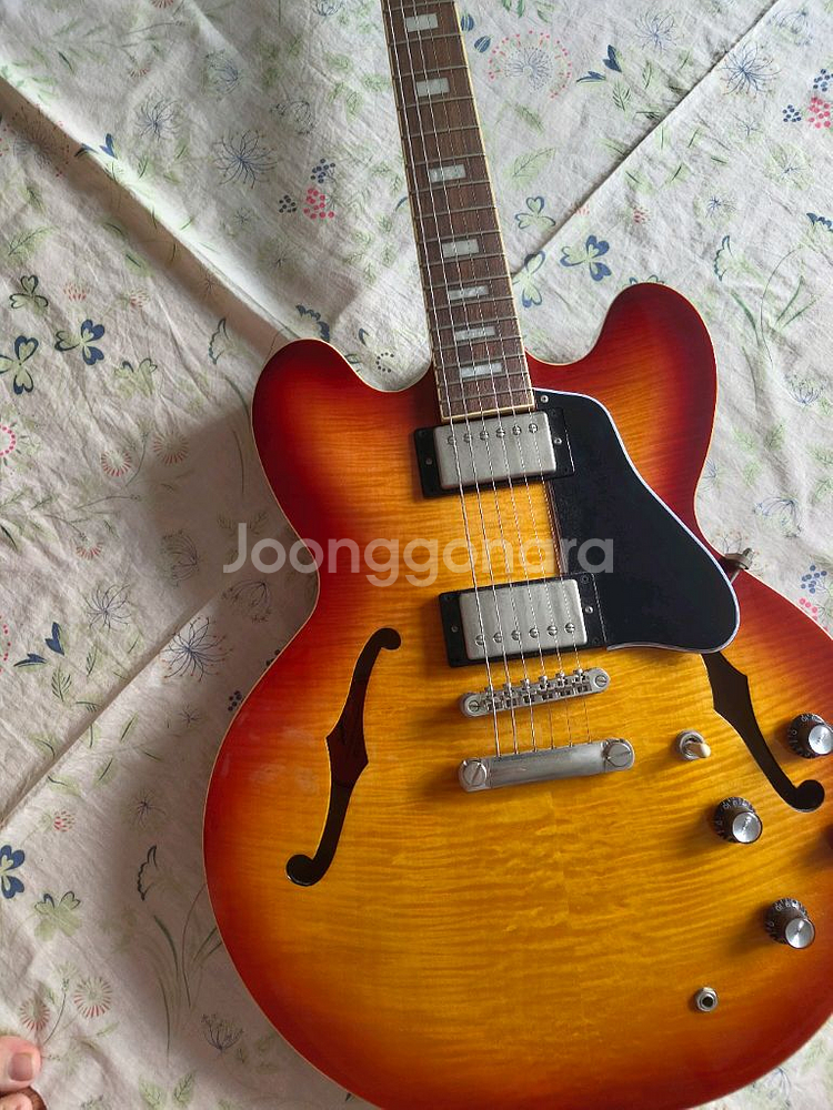 에피폰 es335 figured ig--1