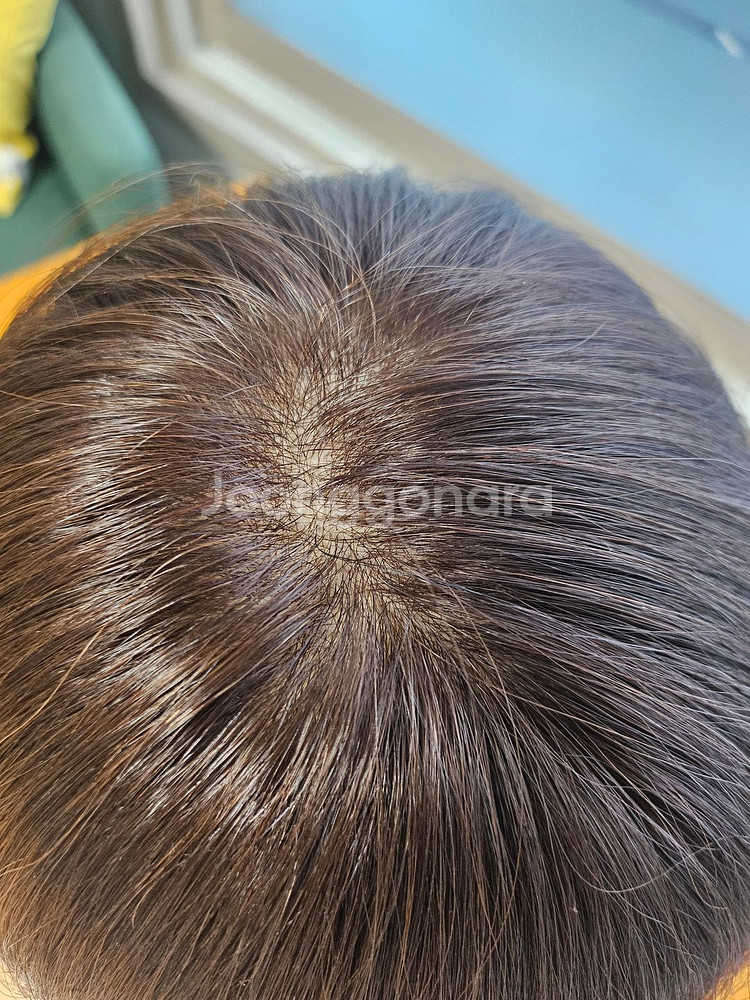 박승철스튜디오 인모 단발 가발--2