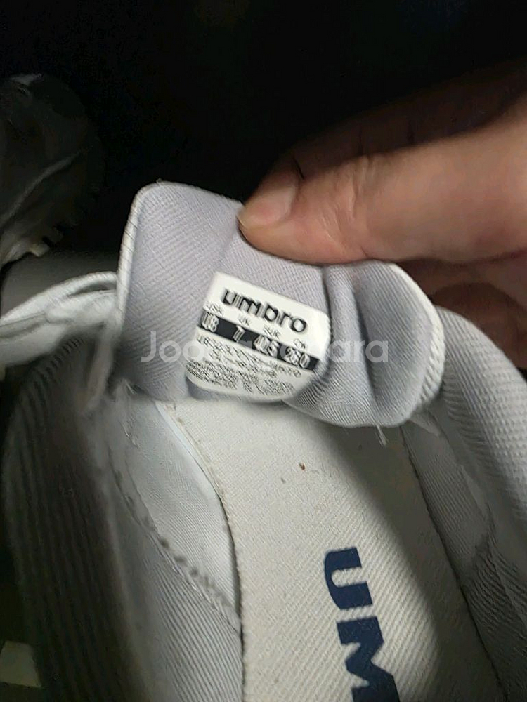 엄브로 범피 운동화 260--4