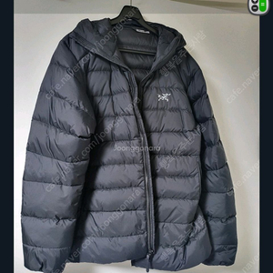 아크테릭스 토륨 라지