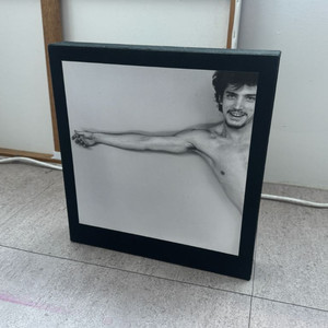 메이플소프 사진집 (mapplethorpe)