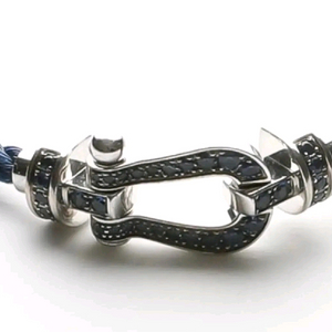 프레드 포스텐 블루사파이아 풀파베